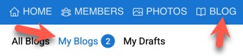 Open My Blogs tab