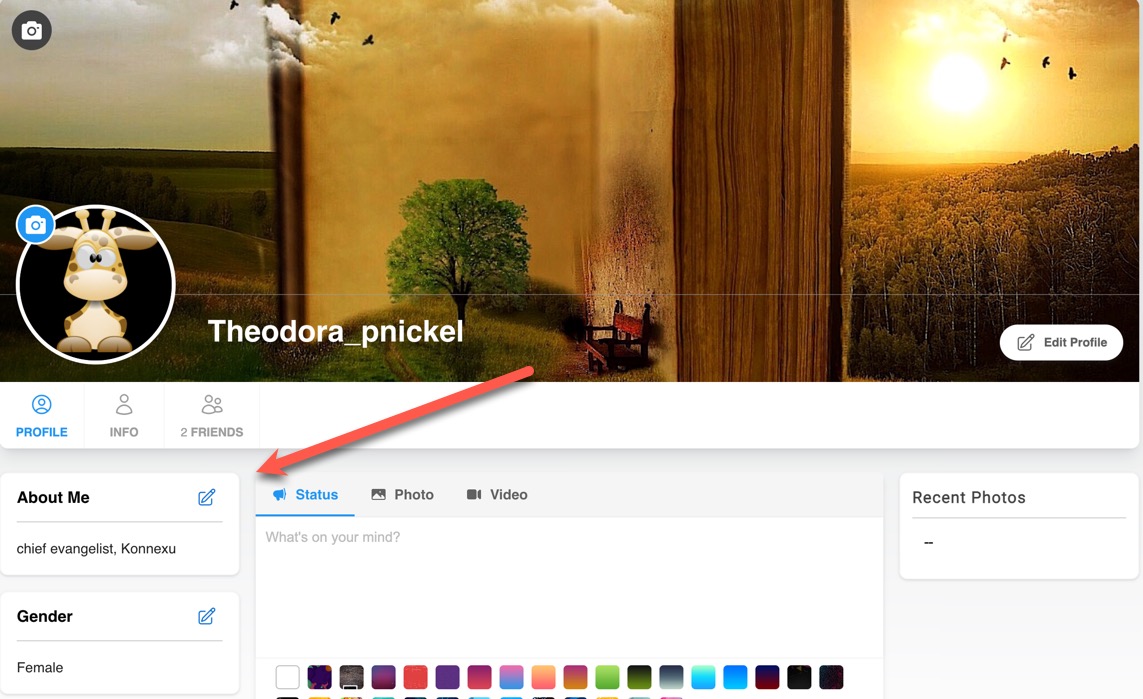 Custom field main section