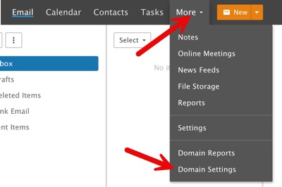 Domain settings button
