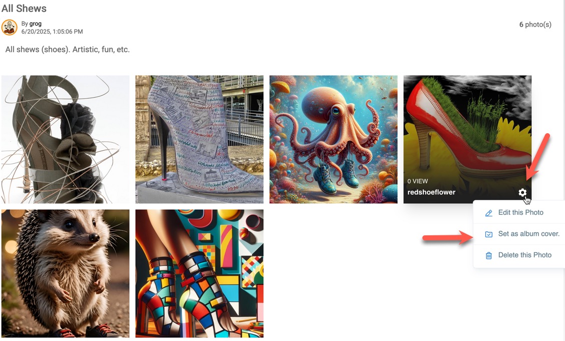 Set photo as album cover